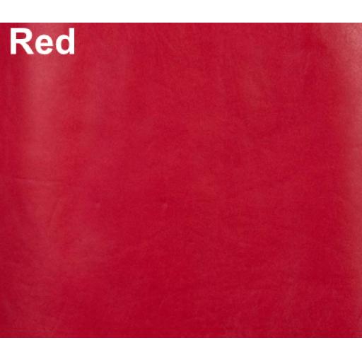 Red Leather Colour Swatch