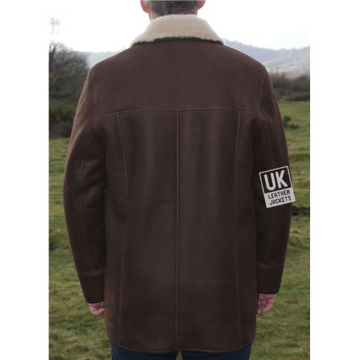 Mens Brown Sheepskin Car Coat - Foxhill - Cream Wool - Back